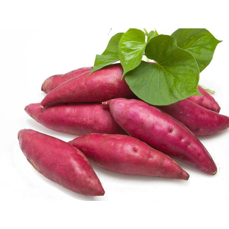 
 Высококачественный свежий органический фиолетовый сладкий картофель для здоровья  