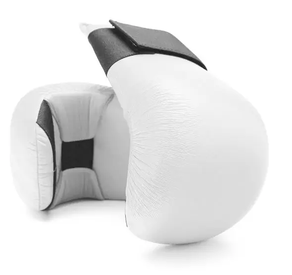 Top Quality Custom Logo Design Karate Martial Art Training Boxing Equipment With Traditional karate Hand Karate Mitt