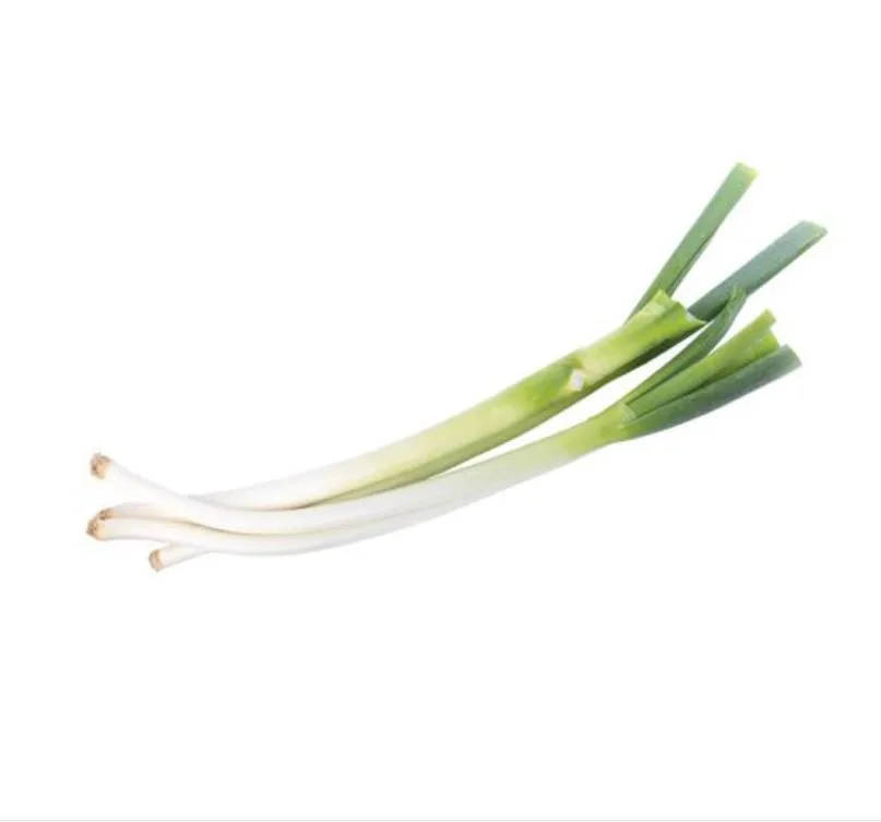 Scallion For Export Frozen Scallions Dried Green Scallions