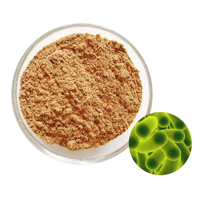 Bacillus Subtilis Bulk Supply Bacillus Subtilis Probiotic - Zealmax Biopharma