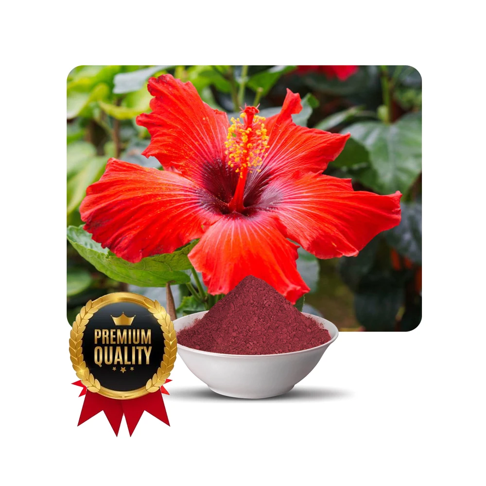 Самый дешевый популярный органический порошок гибискуса с тремя сдвижениями быстрого действия по низкой цене
