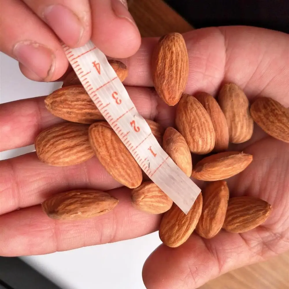 100% natural almond /almond nut