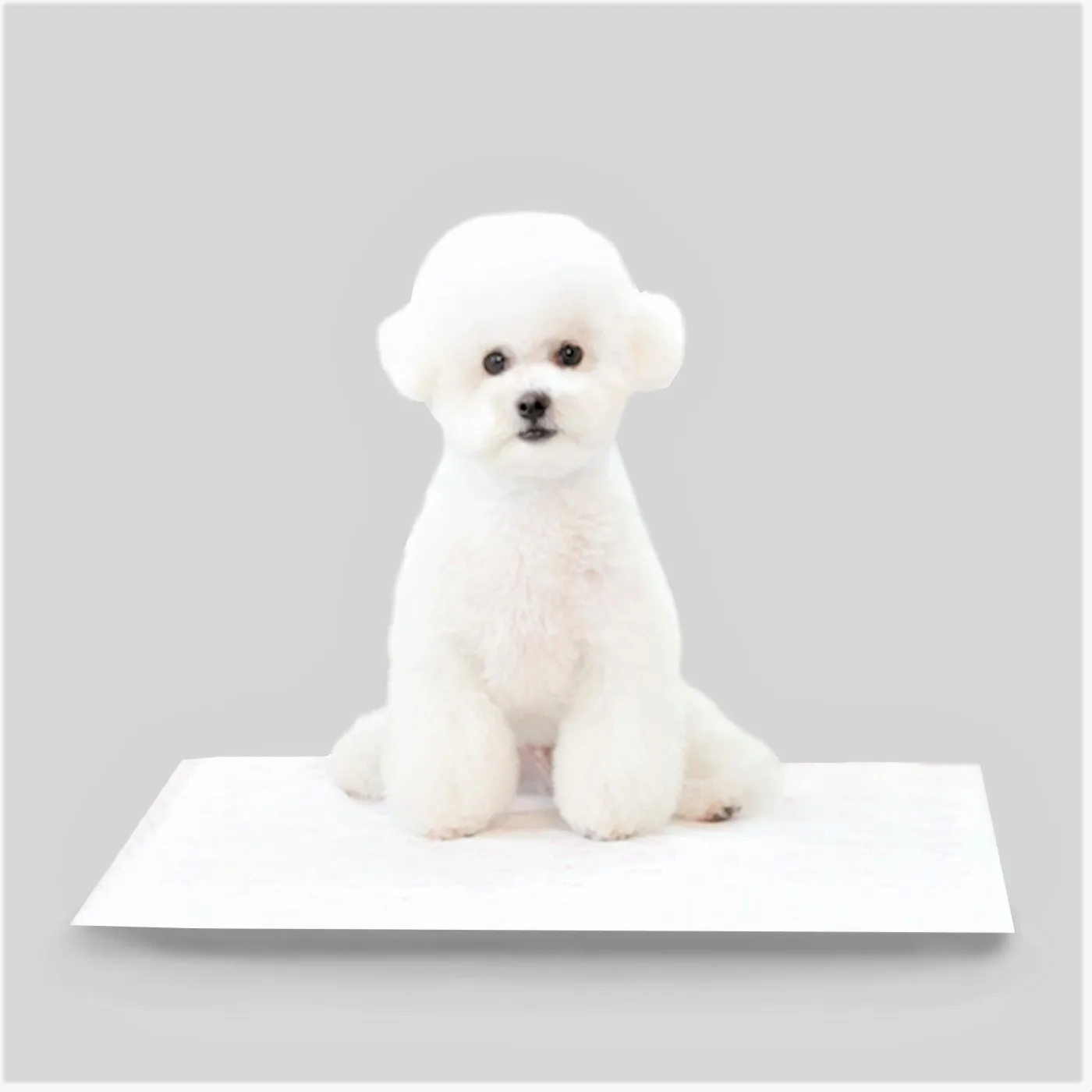 Высококачественная многоразовая впитывающая моющаяся подстилка для дрессировки собак, мочи в горшке, S M L XL [ToiPet]