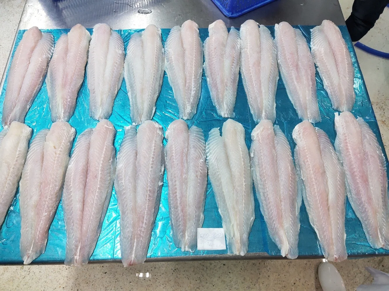 Sutchi Fish Fillet, Pangasius Swai fish, Pangasius Fillet Light Pink Well Trimmed