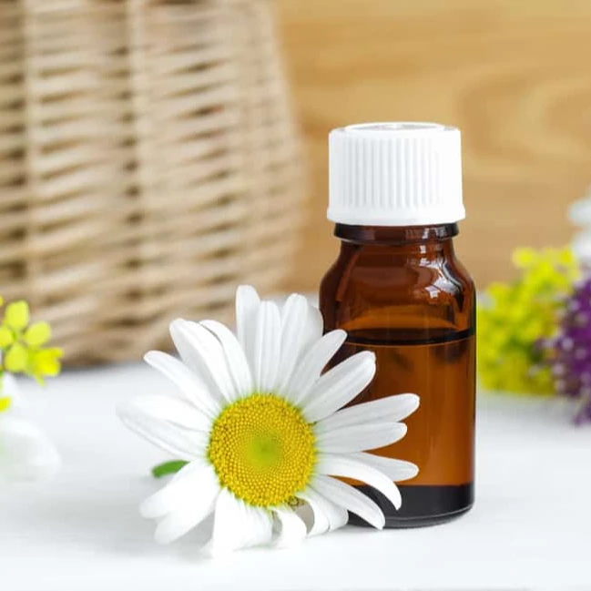 Blue Chamomile Essential Oil Manufacturer in India for Bulk Supply