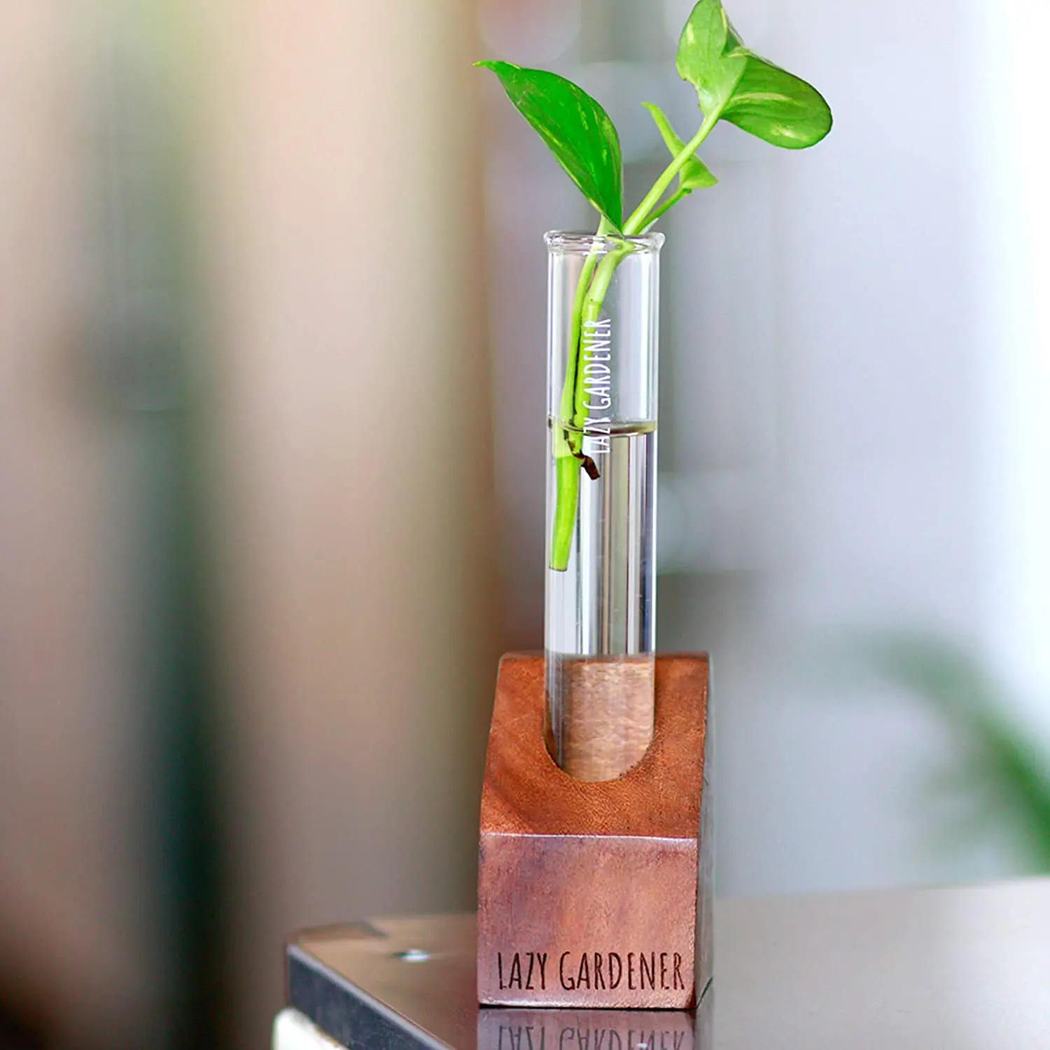  Ленивый садовый стеклянный столешница с деревянной подставкой | Гидропонный плантатор для домашнего декора