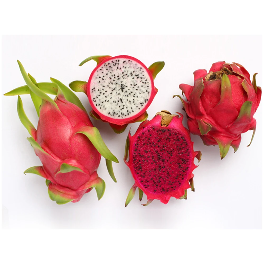 Высококачественный фрукт замороженного дракона для экспорта из Вьетнама