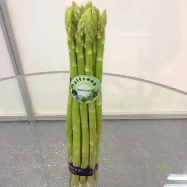
Asparagus 