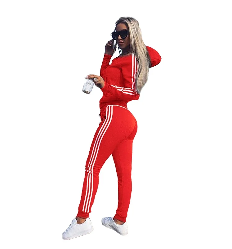 Good Price Blank Jogging Women Track Suits New Product Fitness Wear Long Sleeve Comfortable Women 2 Piece Track Suit