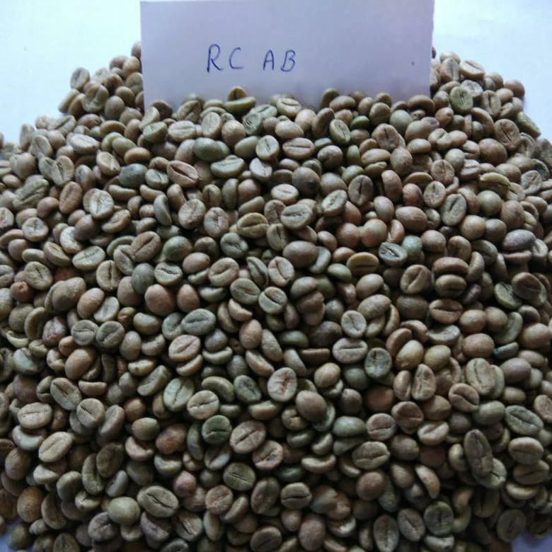  Robusta вишня AB зеленые кофейные зерна Неочищенный экран 15 дюймов от цветовой