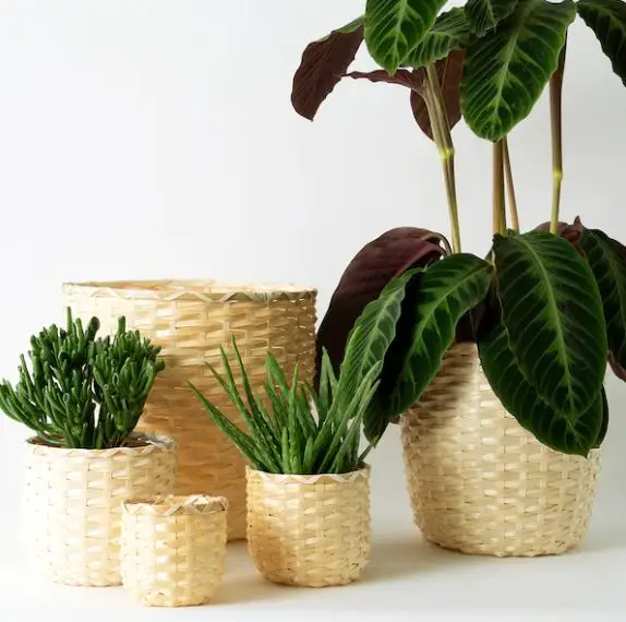 Natural bamboo plant basket handmade in Viet Nam
