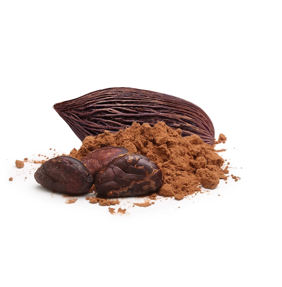 Low fat 100% pure raw cocoa powder with best price