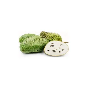 FRESH SOURSOP WITH HIGH QUALITY/Whatsapp Ms Holiday