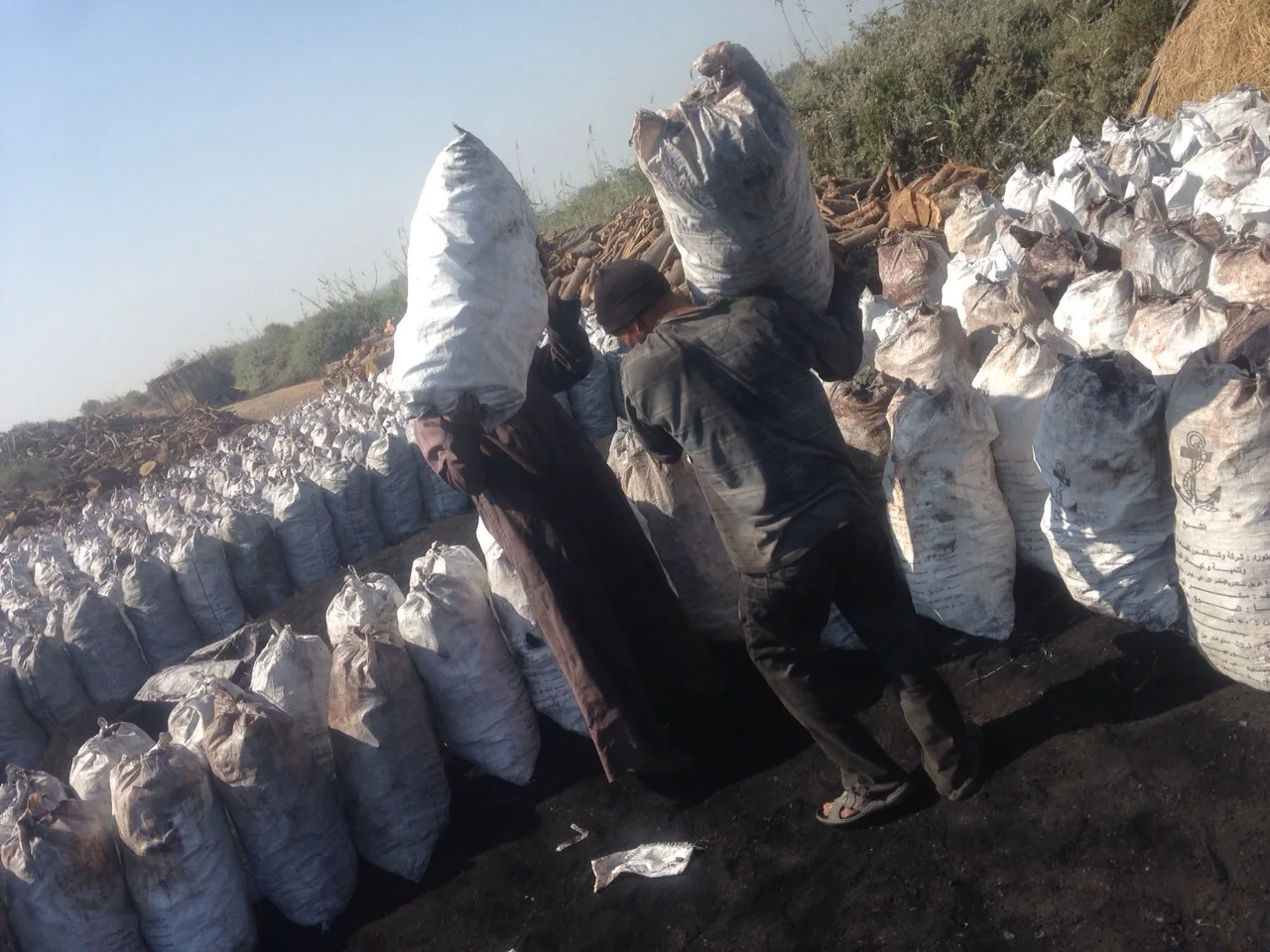 Strong CHARCOAL at a Cheaper Price available for Export