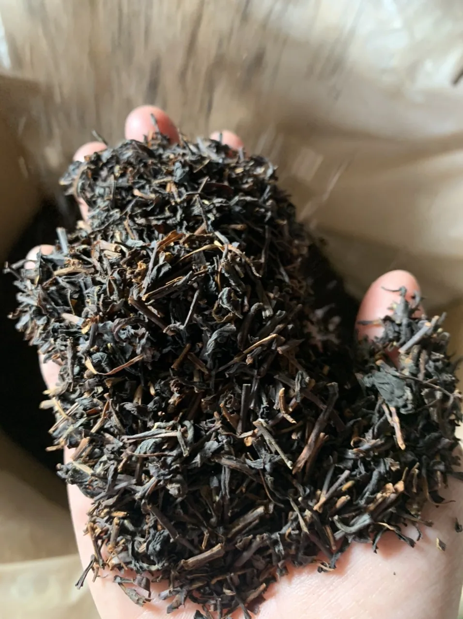 BLACK TEA -  GREEN TEA - VIETNAM TEA - WHATSAPP: +84 911406611