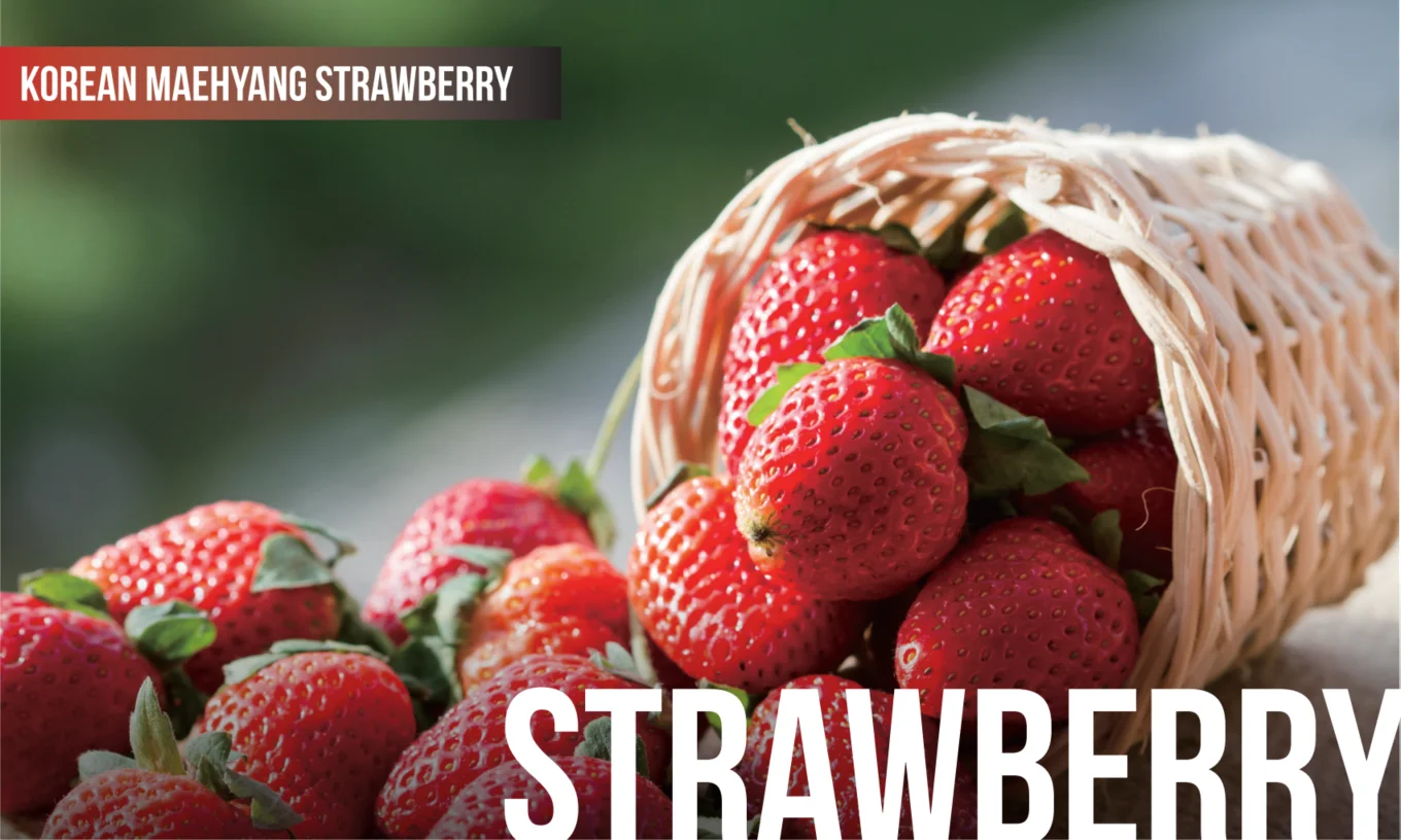 Свежая клубника с богатым витамином C высокосладкие и натуральные фрукты выращенные в Корее провинция Гённам