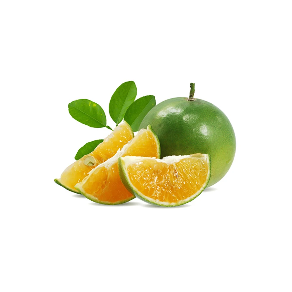 Freezing Calamansi Juice Orange Juice Concentrate For Export From Vietnam