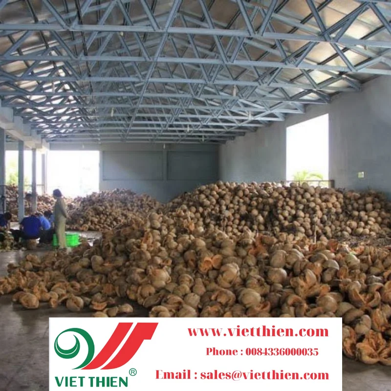 Сушеный кокос выращивается и ухаживается вьетнамскими фермерами для обеспечения безопасности и качества для потребителей