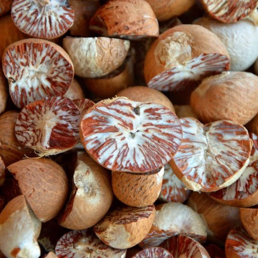 Урожай орехов Betel 2021