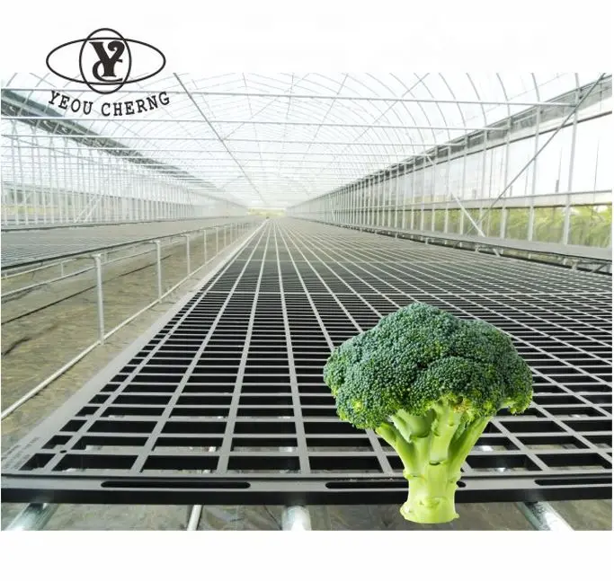 Aiermei plant seedbed grow agriculture greenhouse movable rolling bench garden table hydroponic ebb and flow with factory prices