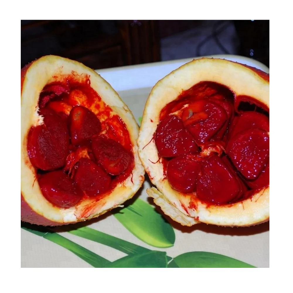 WHOLESALE HIGH QUALITY GAC FRUIT (GAC VIET)