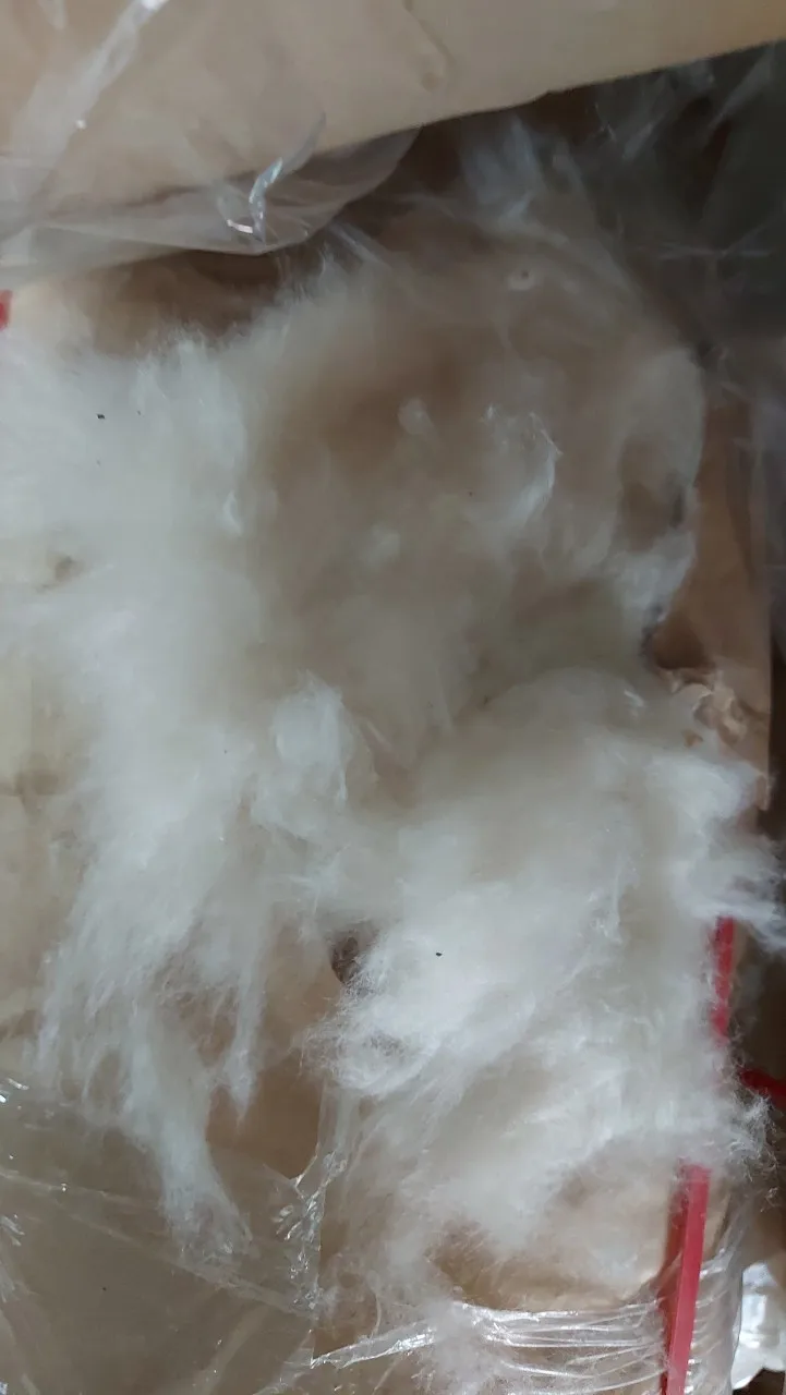 Шелковая наполненная Подушка Kapok из волокна для птичьей сетки без семян Kapok/Hana