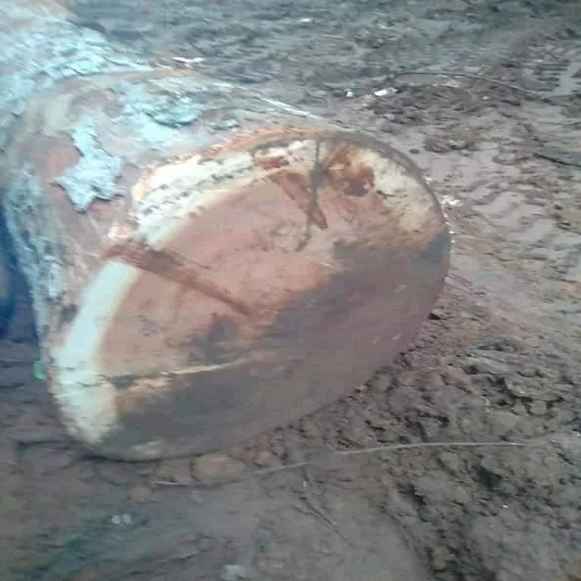 Moabi Or African Pearwood Square and Round Logs