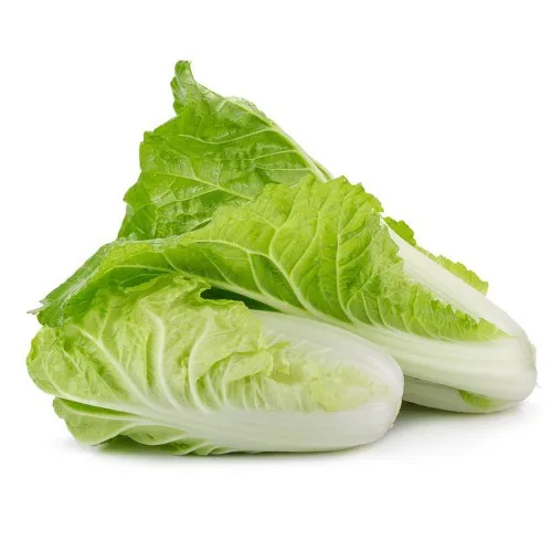 Green Cabbages Fresh organic cabbages From VietNam On Sale