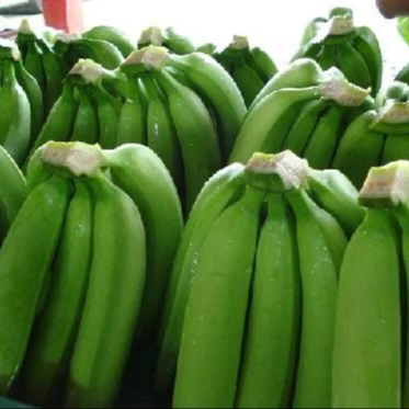 
WHOLESALE FRESH GREEN CAVENDISH BANANA 