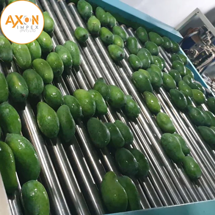 
Cheap Price Pakistani Chaunsa Mangoes 