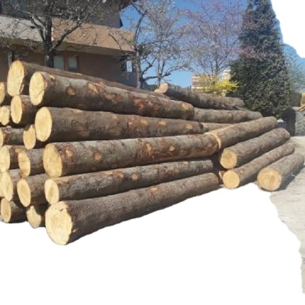 High Quality Teak Timber Logs Teak Timber Timber Logs Wood