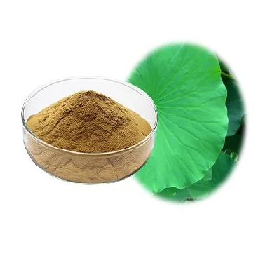 Лотос порошок сушеный Лучшая цена и высокое качество