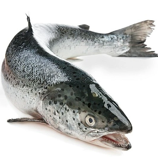 Non Gmo Frozen Salmon Pink Fish