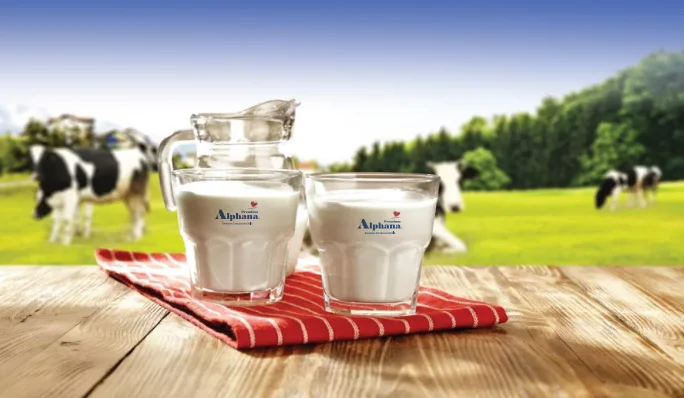 
Sweetened Condensed Milk Premium Alphana Tin Non Cholesterol High Protein and Vitamin Best Price And Good Quality 