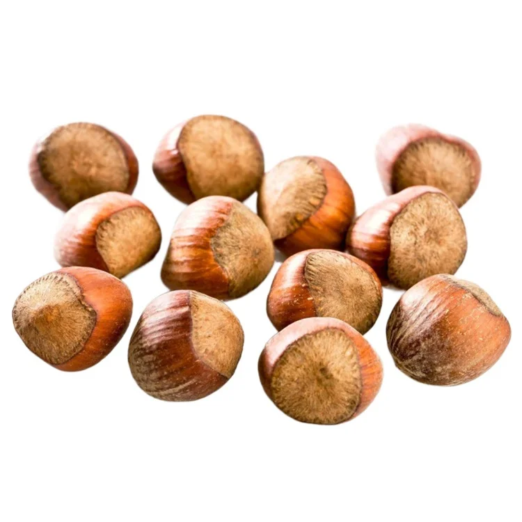 Organic Crushed Nuts, High Quality, Wholesale, Delicious Sweet Nuts