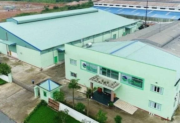 (GCFOOD) Aloe Vera Dice/Cube/Pulp/Jelly Made From 100% Fresh Clean Aloe Vera/Ms.Anna+84 364930172