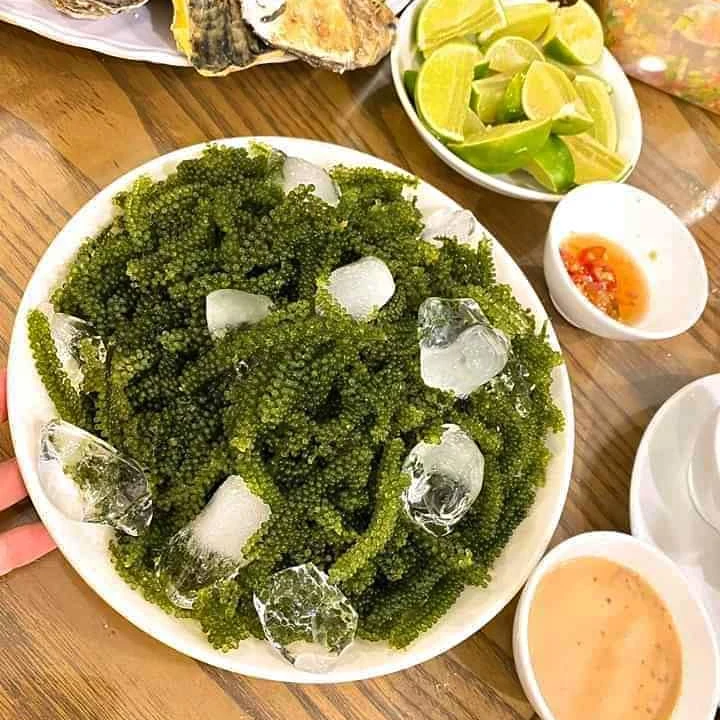 Grapes Lato/latok/Seaweed Sea From Vietnam for Exporting/ Ms. Julie +84 812208609