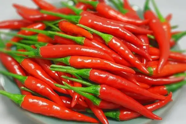 FROZEN RED BIRD EYES CHILI - Best price from Vietnam