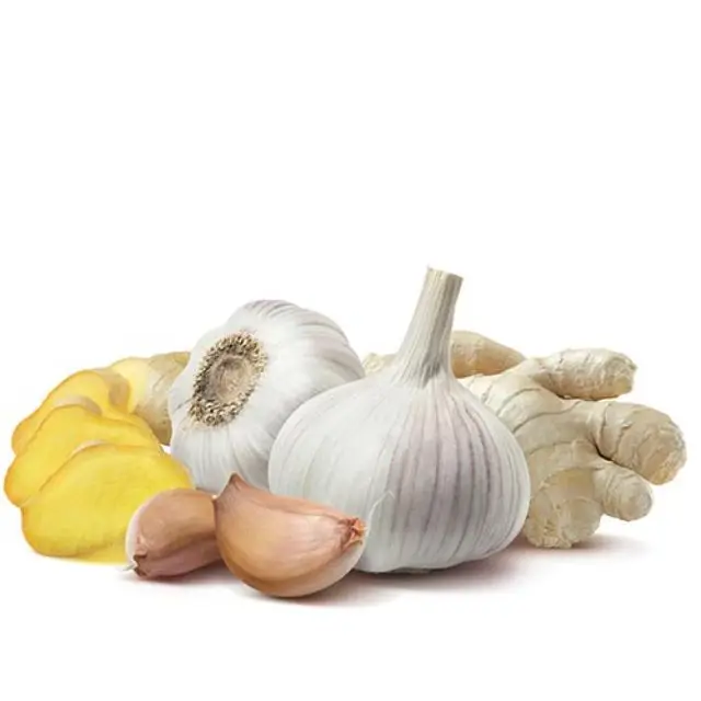 Premium Quality garlic powder processing machine for prevent cancer  from India