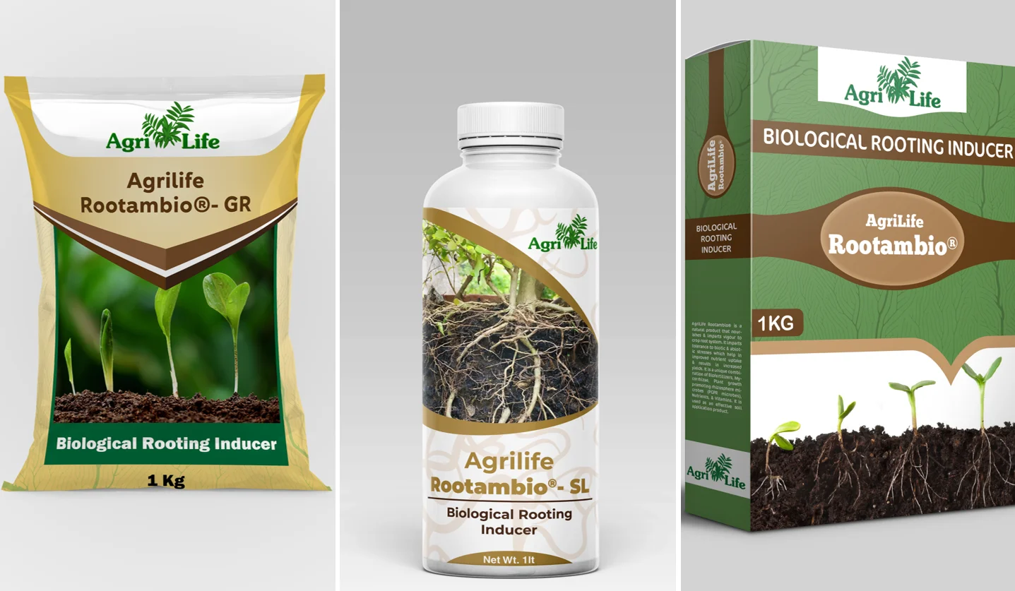 Powder Bio Fertilizer Organic Fertilizer For Soil Application Organic Promote Crop Growth Seaweed fertilizer Root Proliferation