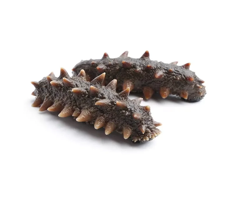 
Best quality natural Sun dried sea cucumber bulk suppliers 