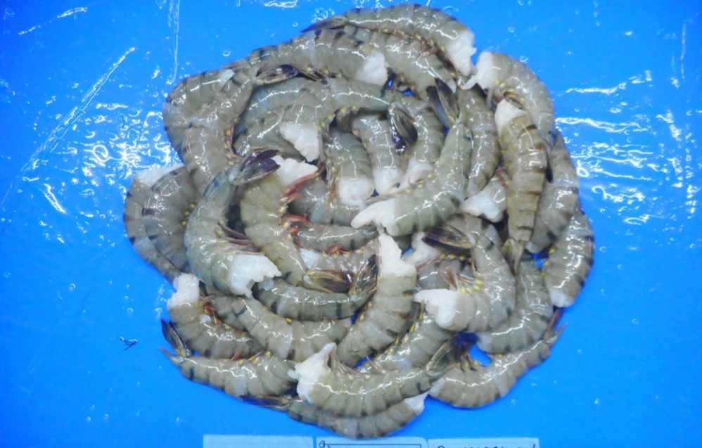 HLSO BLACK TIGER SHRIMPS BEST PRODUCT