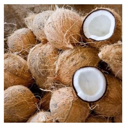 
Semi Husk Coconut/ Full De-Husk Coconut Vietnam_High quality/Cheap price 