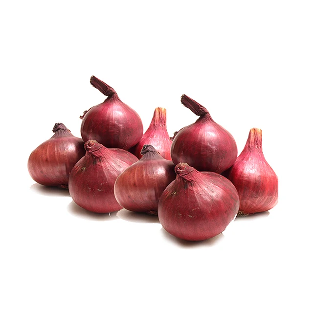 Fresh Onion - High quality and best price