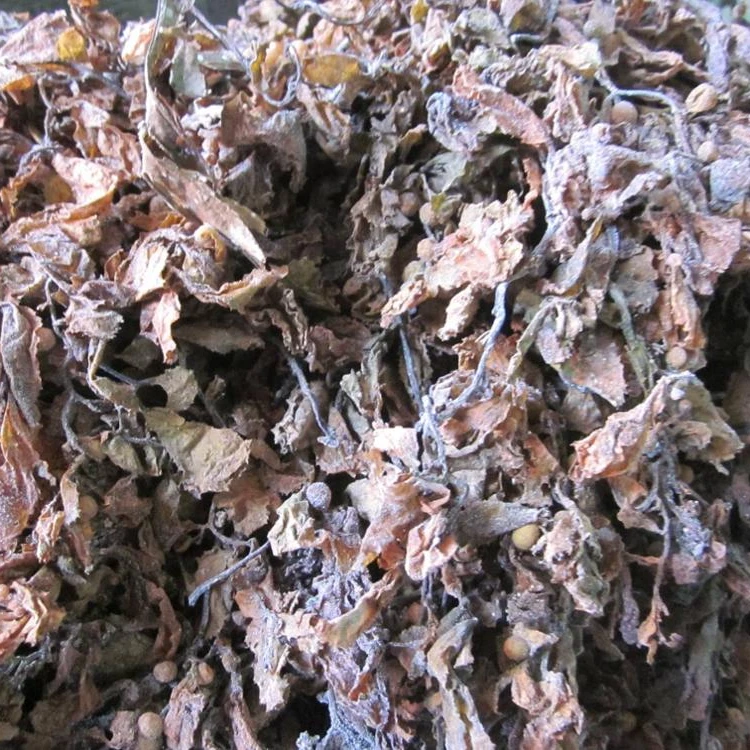 Корм для животных сушеный саргассум из Вьетнама