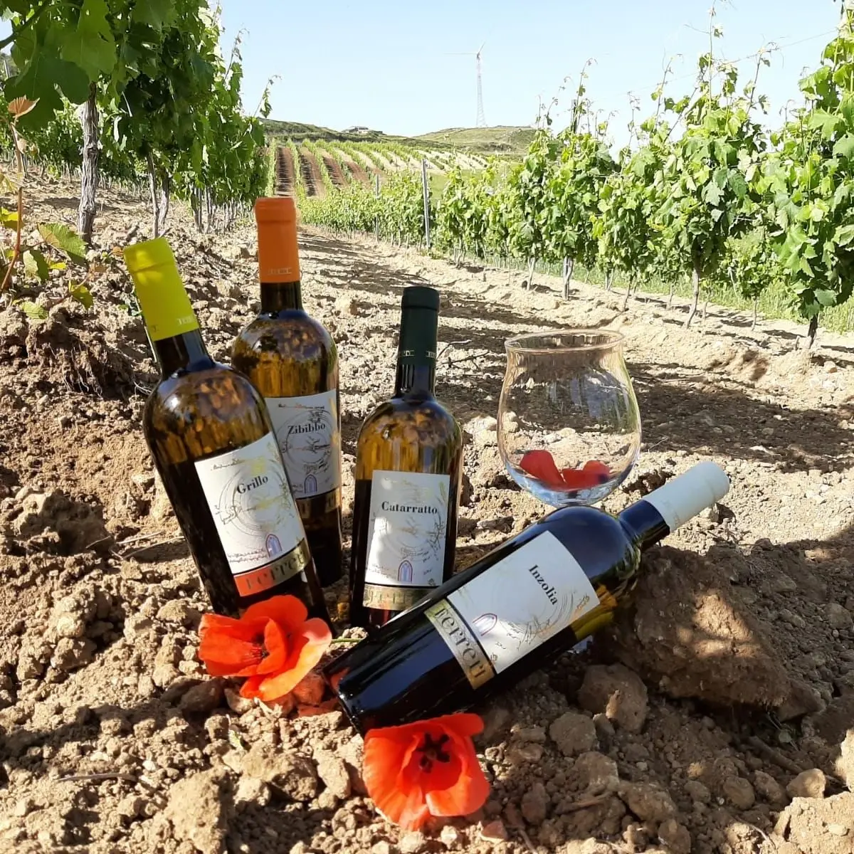 Top quality FERRERI Italian Wine for Table Wine shops Restaurant  Grapes of  Zibibbo 750ml High Quality Wine