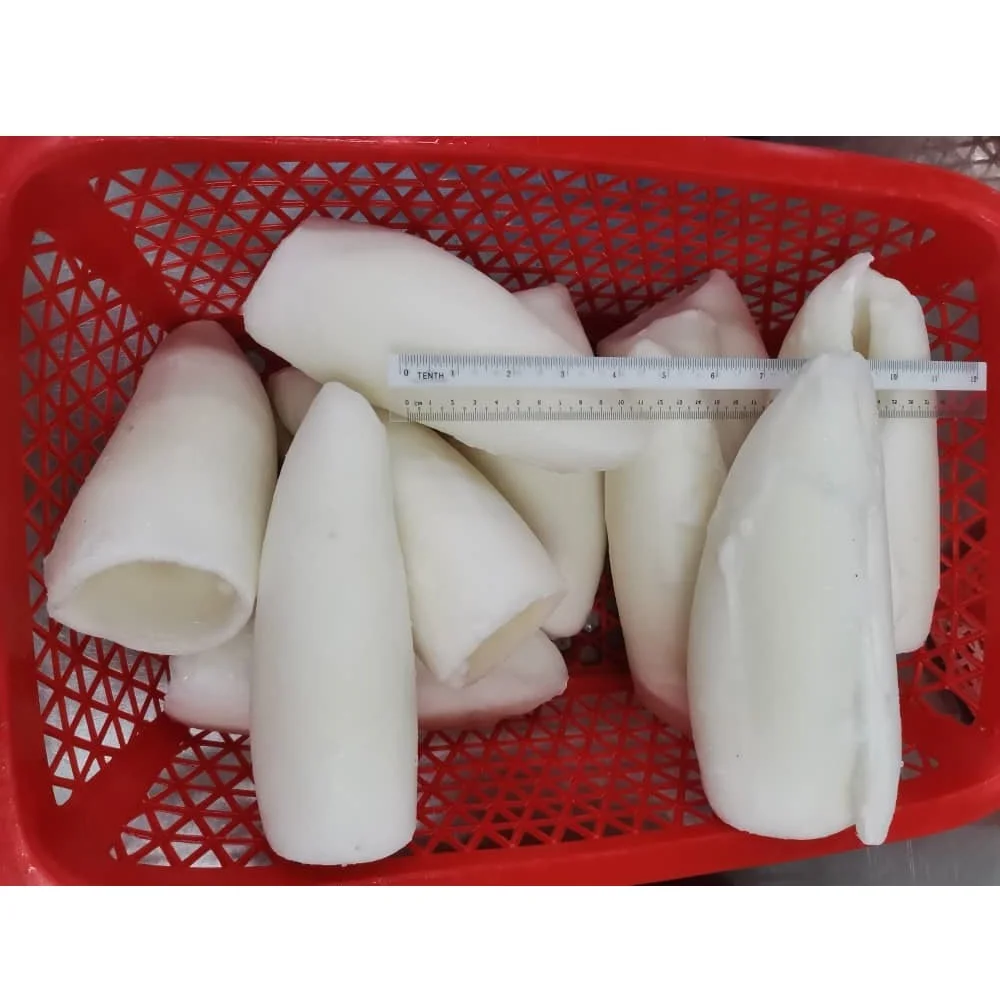 2 Years Shelf Life Good Quality Fresh Frozen Whole Cleaned Cuttlefish Roll From Malaysia