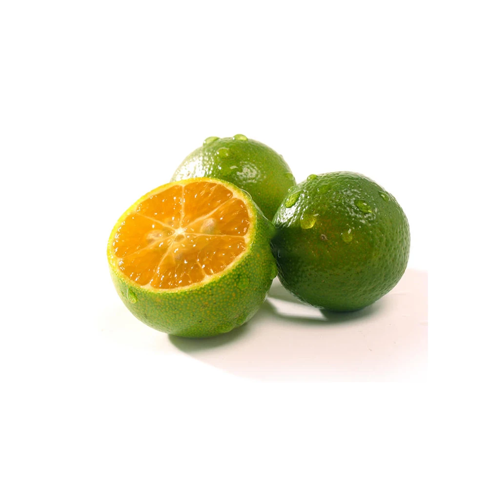 Top Quality Made in Vietnam 100% Frozen Calamansi Juice Ready to Export