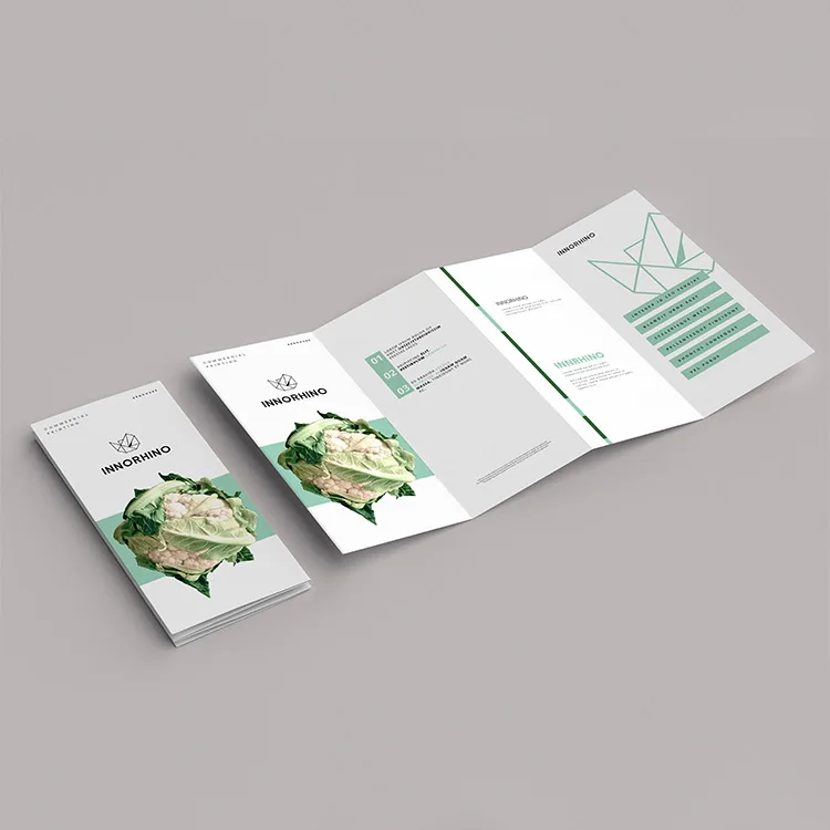 G3-01-012021 Custom printing company Folded leaflet booklet pamphlet brochure catelogue