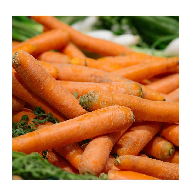 
Top Quality Fresh 100% Organic Carrots In Wholesale Price 